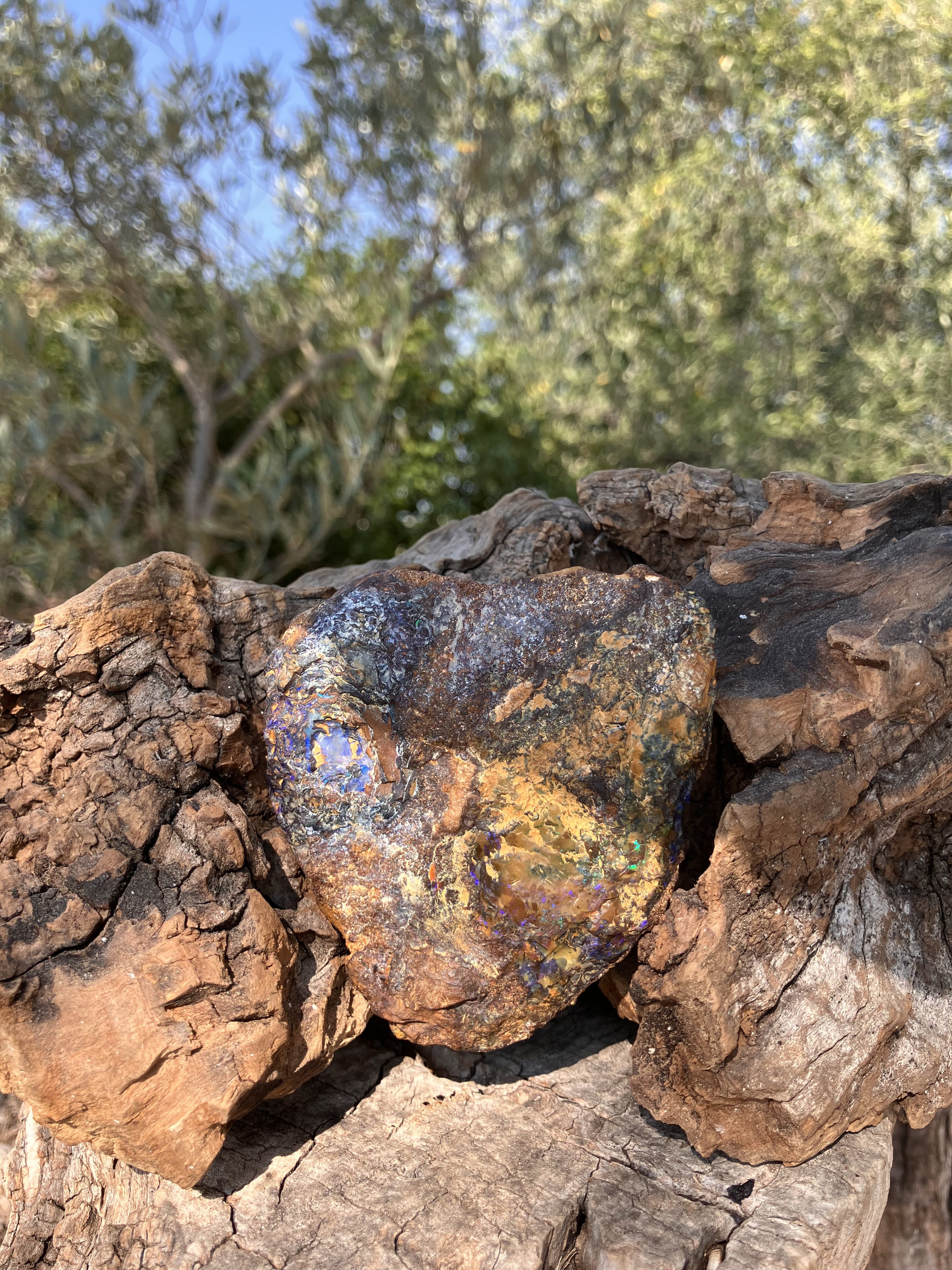 Opale Boulder 2