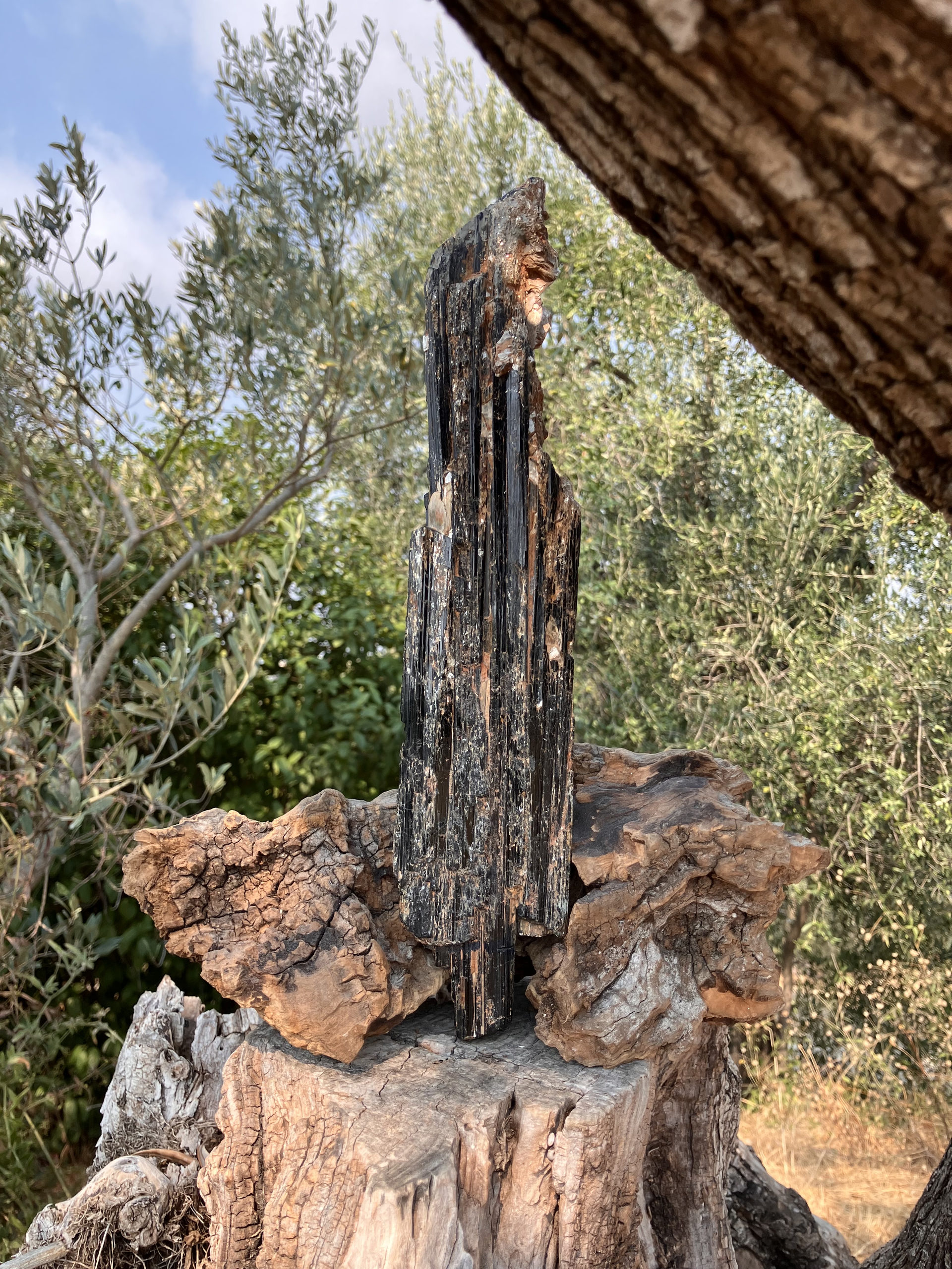 Tourmaline Noire naturelle