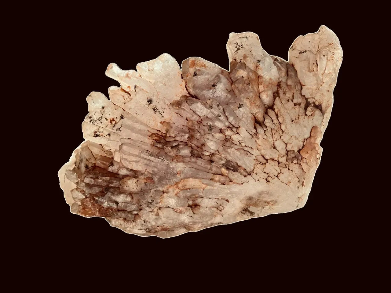 Grappe de Quartz améthysé ferrugineux 4