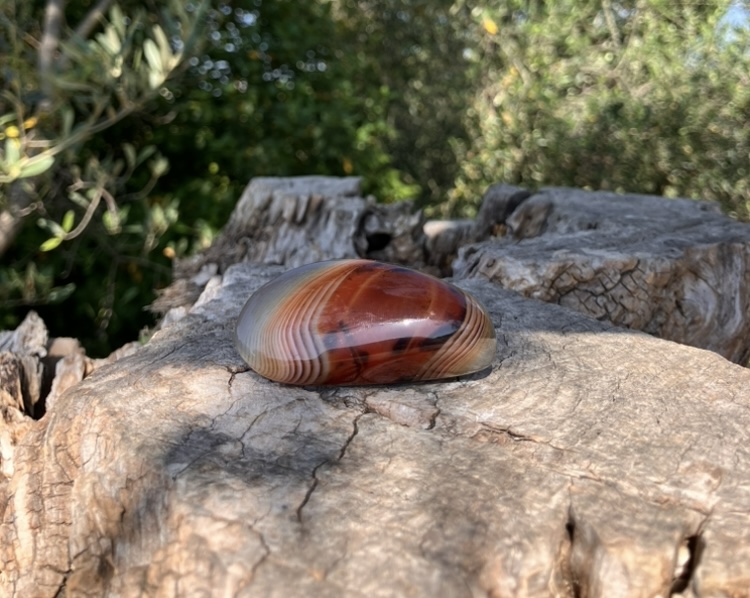 Sardonyx polie Madagascar 5,5cm environ