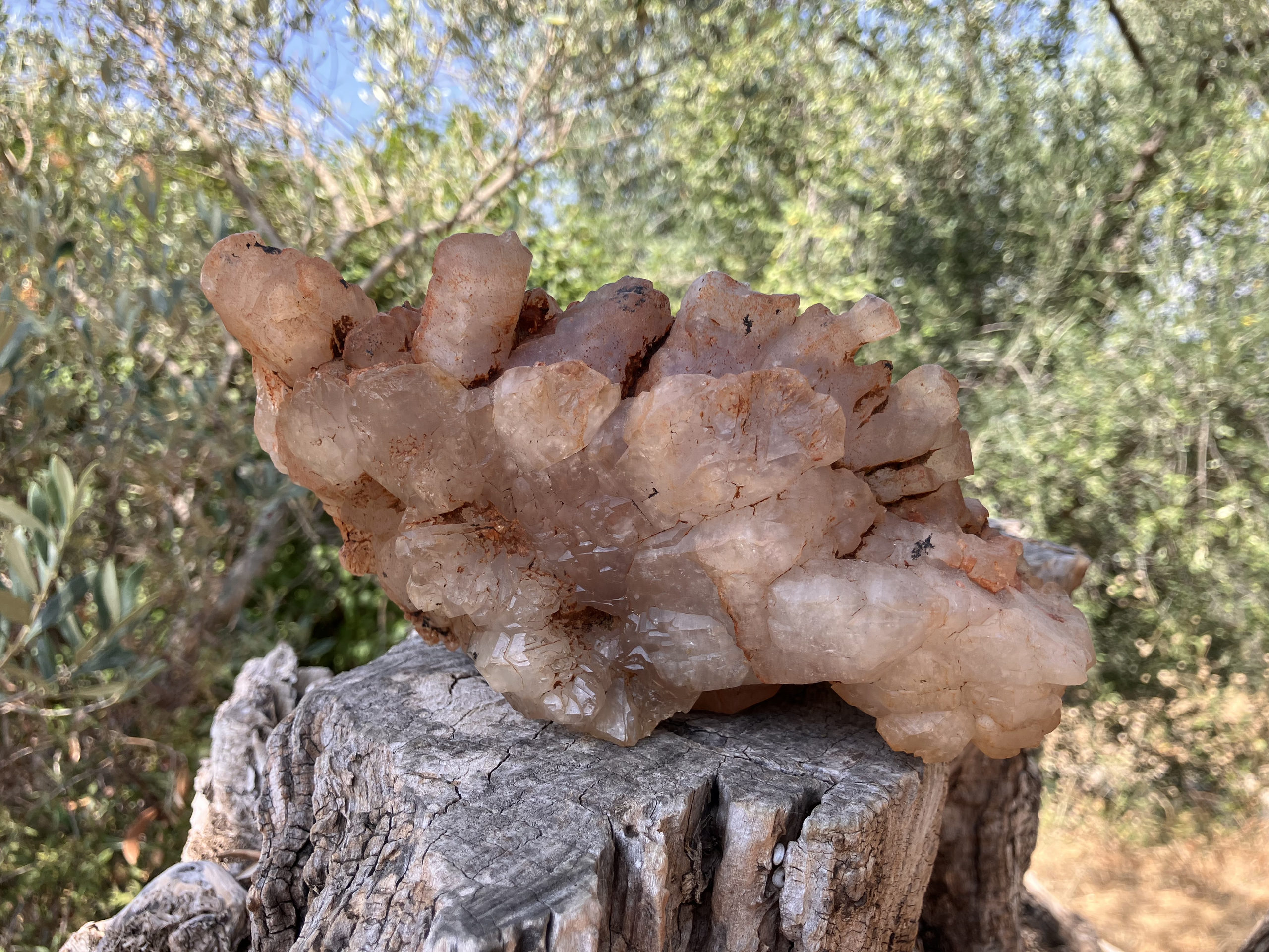 Grappe de Quartz améthysé ferrugineux 3