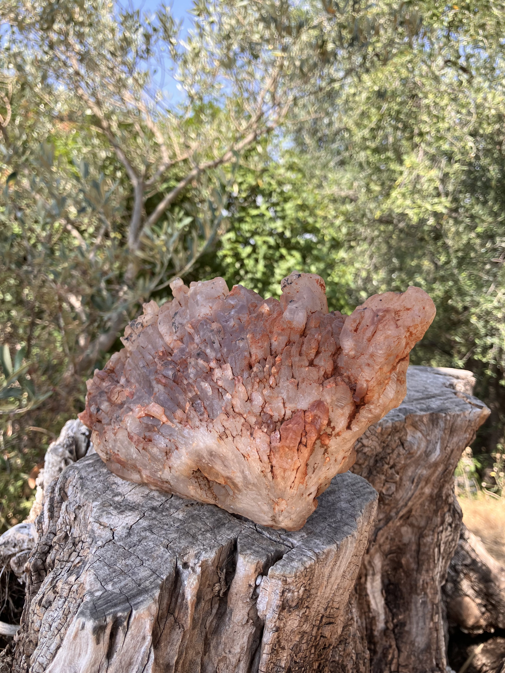 Grappe de Quartz améthysé ferrugineux 2