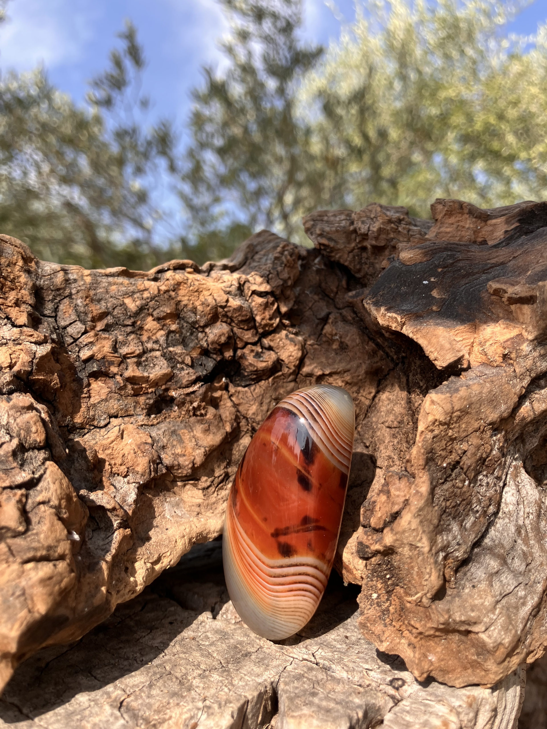 Sardonyx polie